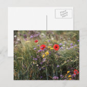 野生の花 ポストカード (正面/裏面)