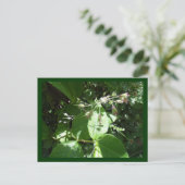 野生の花 ポストカード (スタンド正面)