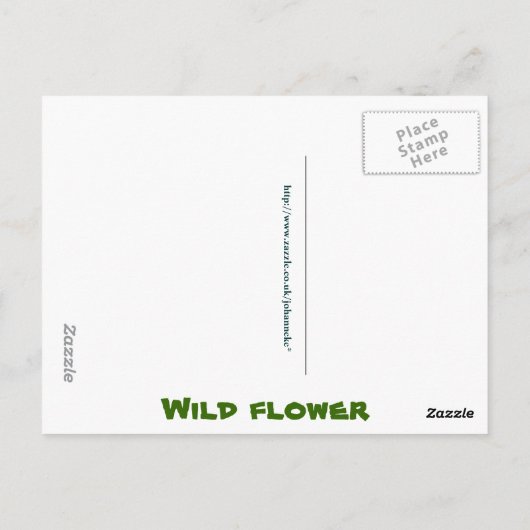 野生の花 ポストカード (裏面)