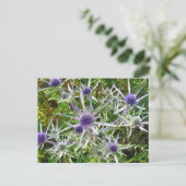 野生の花 ポストカード (スタンド正面)