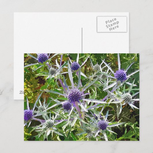 野生の花 ポストカード (正面/裏面)