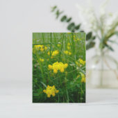 野生の花 ポストカード (スタンド正面)