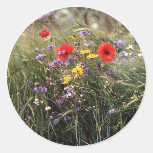 野生の花 ラウンドシール (正面)