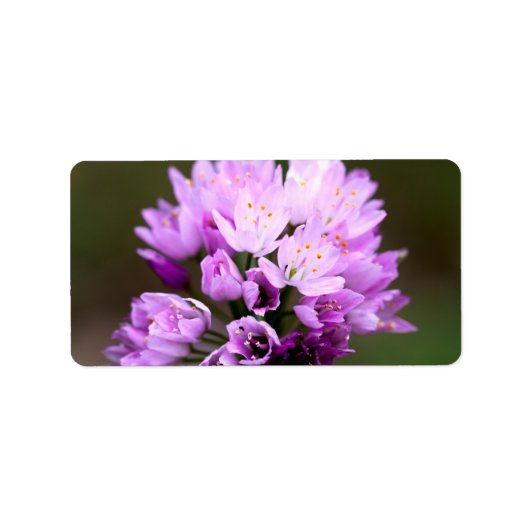 野生の花 ラベル (正面)
