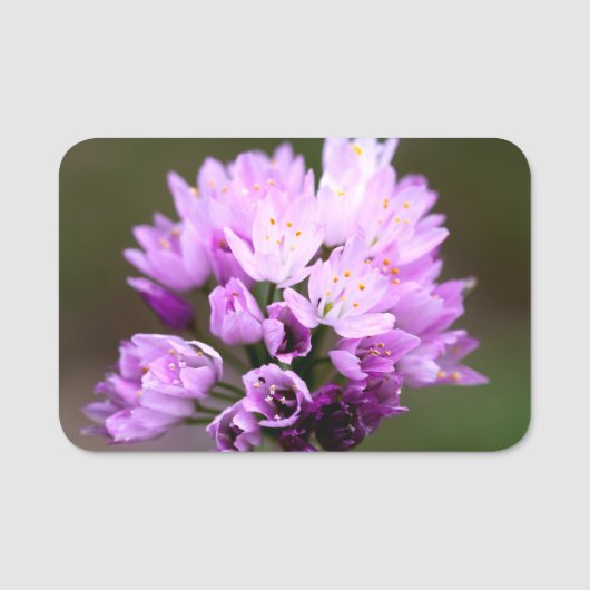 野生の花 名札 (正面)