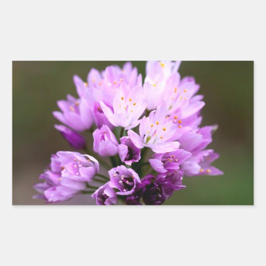 野生の花 長方形シール (正面)