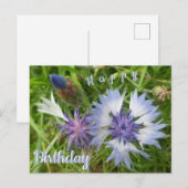 野生の花：青いコスモス 誕生日ポストカード ポストカード (正面/裏面)