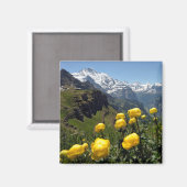 野生の花Jungfrau地域 マグネット (正面/裏面)