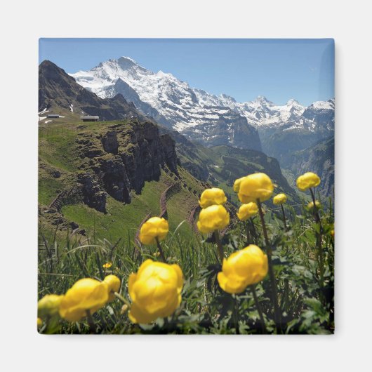 野生の花Jungfrau地域 マグネット (正面)