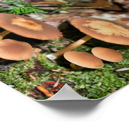 野生の茶色のキノコのクラスター抽象芸術 ポスター (角)