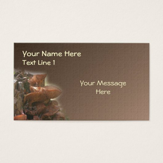 野生の茶色のキノコのスタック自然 (正面)