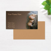 野生の茶色のキノコのピーク自然 (デスク)