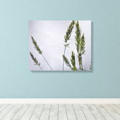 野生の草の種 キャンバスプリント (インサイチュ (ウッドフロア))