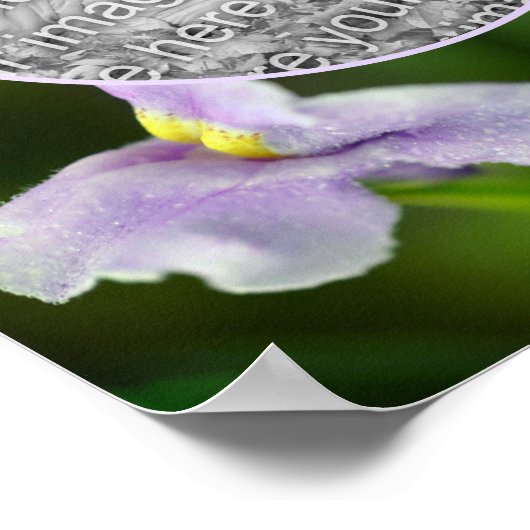 野生の蘭の花のフレーム独自の写真を追加 ポスター (角)