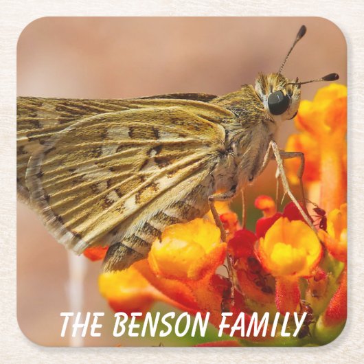 野生の蛾を閉じる スクエアペーパーコースター (正面)