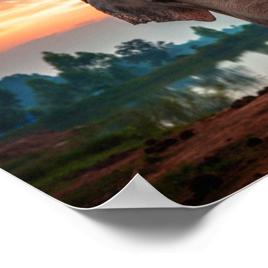 野生の象 ポスター