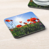 野生の赤いケシの花 コースター (左側)