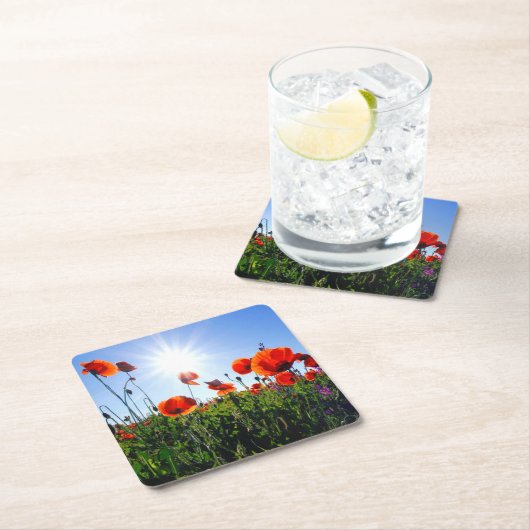 野生の赤いケシの花 スクエアペーパーコースター (インサイチュ)