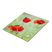 野生の赤いケシの花 タイル (側面)