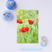 野生の赤いケシの花 チラシ (シングル)