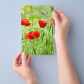 野生の赤いケシの花 チラシ (ハンドル)