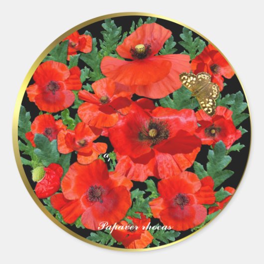 野生の赤いケシの金ゴールド縁ど ラウンドシール (正面)