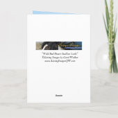 野生の赤い砂漠のスタリオンルックス – グリーティングカード (裏面)