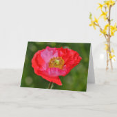 野生の赤ピンクのポピー花アートノートカード カード (黄色い花)