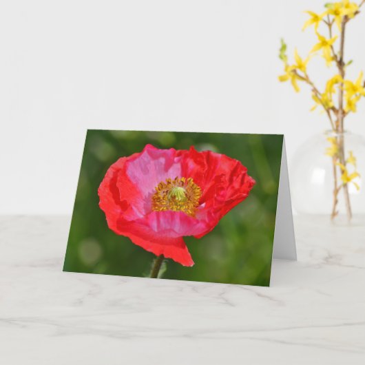 野生の赤ピンクのポピー花アートノートカード カード (黄色い花)
