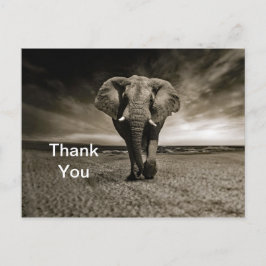 野生の雄ゾウの写真に感謝 ポストカード
