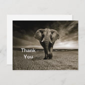 野生の雄ゾウの写真に感謝 ポストカード (正面/裏面)