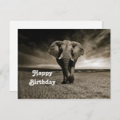 野生の雄ゾウの写真 誕生日 ポストカード (正面/裏面)