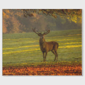 野生の雄鹿 ラッピングペーパー (フラット)