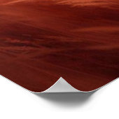 野生の雌ライオンのポスター ポスター (角)