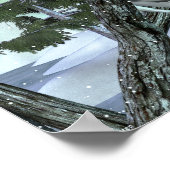 野生の雪のフクロウに ポスター (角)