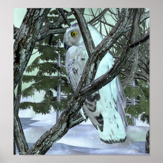 野生の雪のフクロウに ポスター (正面)