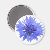 野生の青いコーンフラワーを持つ磁石 マグネット (正面/裏面)