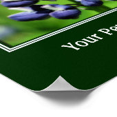 野生の青いルピネのパーソナライズされた花 ポスター (角)