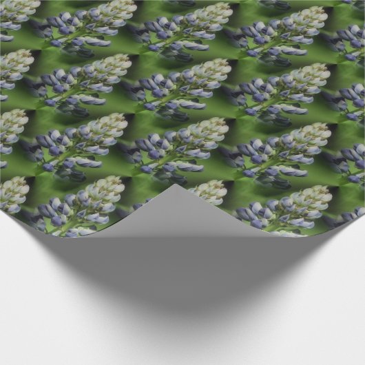 野生の青いルピネの花の自然模様 ラッピングペーパー (角)