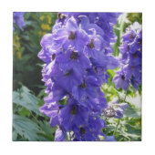 野生の青いFoxglove タイル (正面)