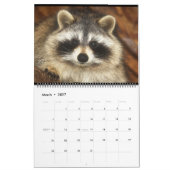 野生の青の201アライグマYonder Wildlife Rescue C カレンダー (3月 2027)