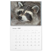 野生の青の201アライグマYonder Wildlife Rescue C カレンダー (1月 2027)