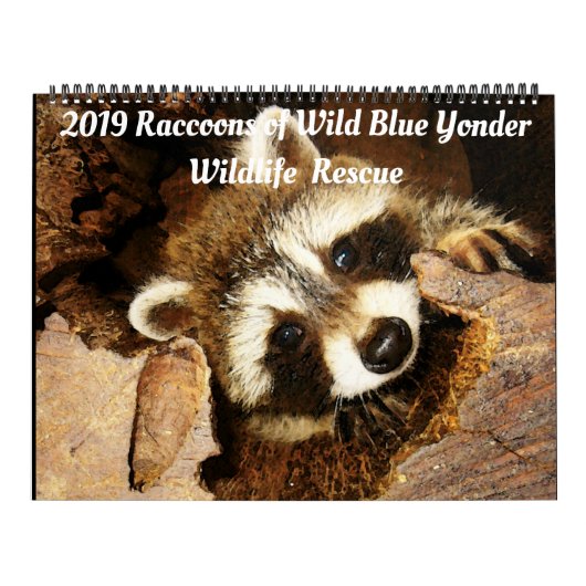 野生の青の201アライグマYonder Wildlife Rescue C カレンダー (カバー)