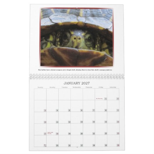 野生の顔2013のカレンダー カレンダー (1月 2027)