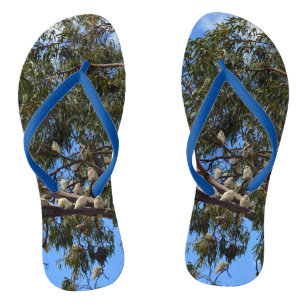 「野生の飛行：白いオーストラリア産のコカトス ビーチサンダル