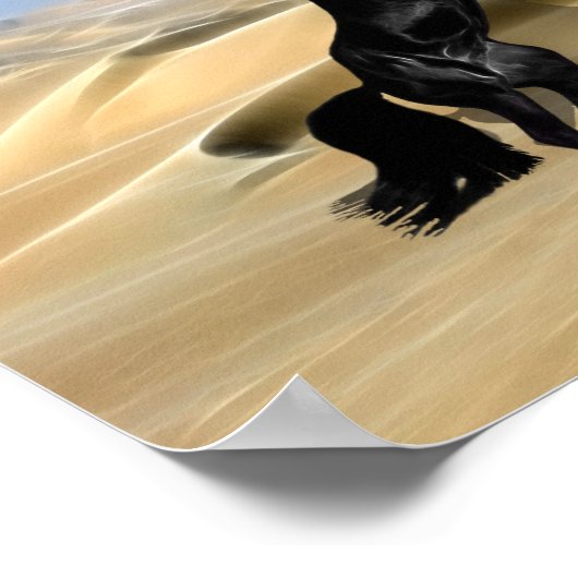 野生の飼育黒のタタタマキ ポスター (角)