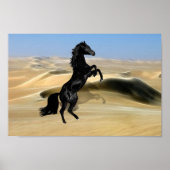 野生の飼育黒のタタタマキ ポスター (正面)