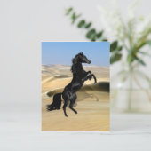 野生の飼育黒のタタタマキ ポストカード (スタンド正面)