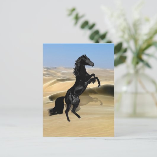 野生の飼育黒のタタタマキ ポストカード (スタンド正面)