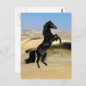 野生の飼育黒のタタタマキ ポストカード (正面/裏面)